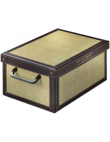 BOX E CONTENITORI SALVASPAZIO: vendita online BAULETTO TAPIRUS 026 25X35X17 in offerta