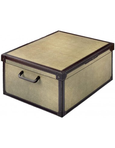 BOX E CONTENITORI SALVASPAZIO: vendita online BAULETTO 028TA TAPIRUS 32X42X21 in offerta