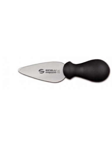 COLTELLI PROFESSIONALI: vendita online COLTELLO GRANA PAVIA IN ACCIAIO INOX 10CM 5202.10 in offerta