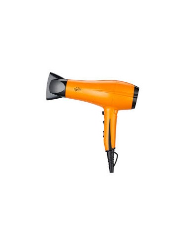 ASCIUGACAPELLI: vendita online Asciugacapelli Professionale, 2200W, 2 Velocità, Cool Shot, Concentratore, Diffusore, 220-240V...