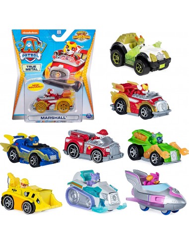 GIOCATTOLO PUBBLICIZZATO: vendita online PAW PATROL 6053257 VEICOLO DIE CAST ASSORTITO in offerta