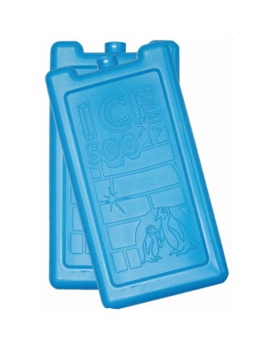 FRIGO BOTTIGLIE E ACC: vendita online SET 2 PANETTI GHIACCIO 500 AZZURRO in offerta