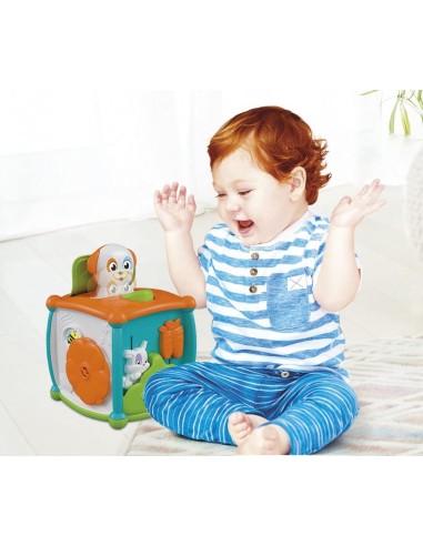 GIOCATTOLO PUBBLICIZZATO: vendita online BABY 17672 CUBO ATTIVITA' in offerta