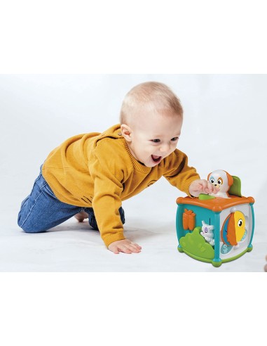 GIOCATTOLO PUBBLICIZZATO: vendita online BABY 17672 CUBO ATTIVITA' in offerta