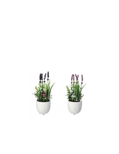 PIANTE E FIORI CON VASO: vendita online VASO 74884 CON LAVANDA 32CM COLORI ASSORTITI in offerta