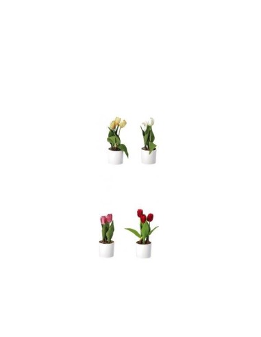 PIANTE E FIORI CON VASO: vendita online TULIPANI 74876 CON VASO 10X32CM ASSORTITO in offerta