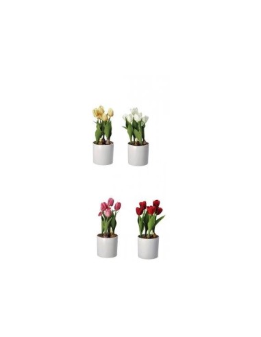 PIANTE E FIORI CON VASO: vendita online TULIPANI 74877 CON VASO 14X33CM ASSORTITO in offerta