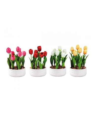 PIANTE E FIORI CON VASO: vendita online TULIPANI 74878 CON VASO 19X32CM ASSORTITO in offerta