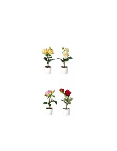 PIANTE E FIORI CON VASO: vendita online ROSE 74883 CON VASO 10X38CM ASSORTITO in offerta