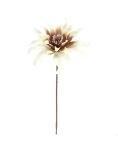 FIORI: vendita online DALHIA 7641 ASSORT in offerta