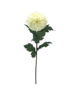 FIORI: vendita online DAHLIA 2030 ASSORTITO in offerta