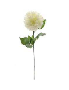 FIORI: vendita online DAHLIA 2651 ROSA in offerta