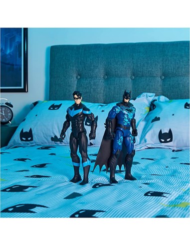 GIOCATTOLO PUBBLICIZZATO: vendita online DC UNIVERSE 6065139 NIGHTWING TITAN HERO in offerta