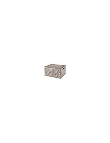CESTE BUCATO PLASTICA: vendita online ARIANNA SCATOLA IN PLASTICA 13 LT ASSORTITO TONTARELLI in offerta