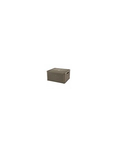 CESTE BUCATO PLASTICA: vendita online ARIANNA SCATOLA IN PLASTICA 13 LT ASSORTITO TONTARELLI in offerta