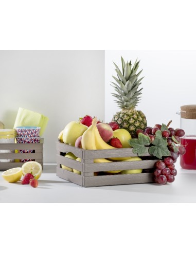 CESTE BUCATO PLASTICA: vendita online TINA 3 CASSETTINA IN PLASTICA TORTORA in offerta