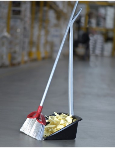 SCOPE E SPAZZOLONI: vendita online RACCOGLISPORCO 10032 PROFESSIONAL CON MANICO in offerta