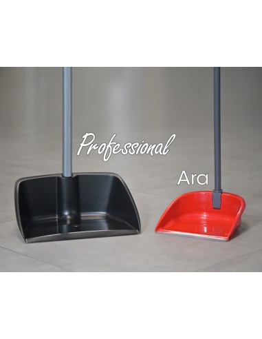 SCOPE E SPAZZOLONI: vendita online RACCOGLISPORCO 10032 PROFESSIONAL CON MANICO in offerta