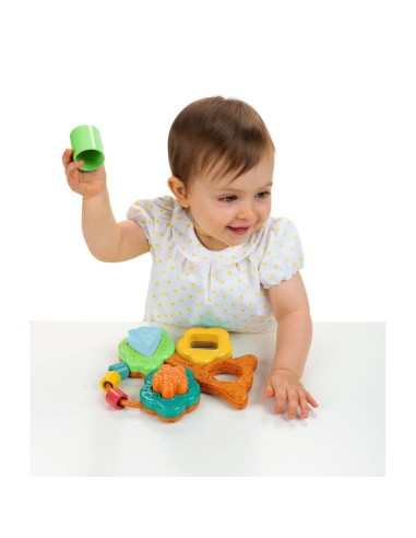PRESCOLARI: vendita online BAOBAB FORME E INCASTRI CHICCO in offerta