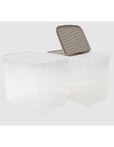 BOX E CONTENITORI SALVASPAZIO: vendita online Contenitore Box Marea 67L - 57x39x42 cm, Colori Assortiti, Resistente e Capient...