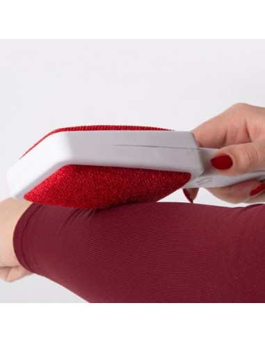 ACCESSORI ABBIGLIAMENTO: vendita online SPAZZOLA ABITI AMABLE LA BRIANTINA in offerta