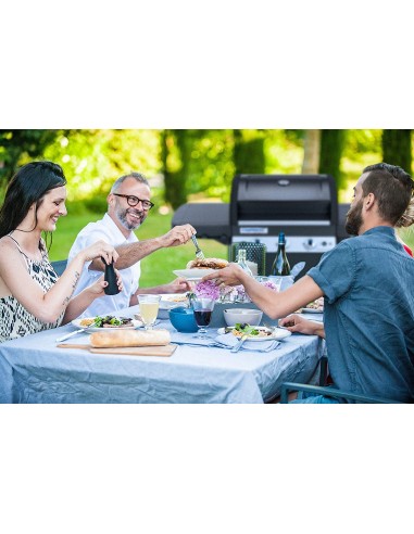 BARBECUE A GAS: vendita online BARBECUE 2000033886 3SERIES LS PLUS DUALGAS in offerta