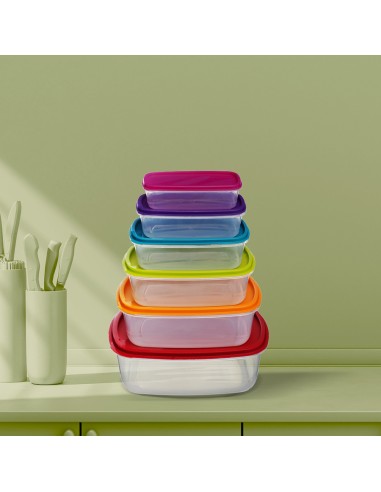 CONTENITORI E BROCCHE: vendita online SET 6 CONTENITORI 120393 CON COPERHIO RETTANGOLARE in offerta