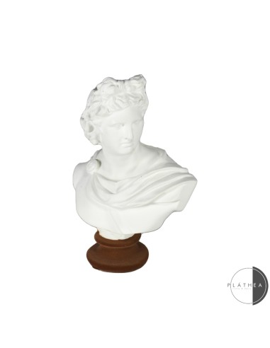 OGGETTISTICA: vendita online MEZZO BUSTO BIANCO PORTAFIORE H15CM RESINA in offerta