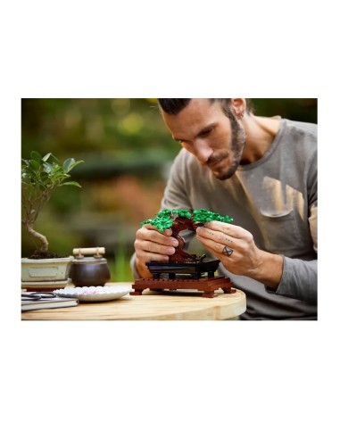 GIOCATTOLO PUBBLICIZZATO: vendita online LEGO Icons Albero Bonsai, Kit Modellismo Piante Artificiali, Decorazione Casa, Hobby...