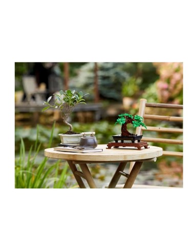 GIOCATTOLO PUBBLICIZZATO: vendita online LEGO Icons Albero Bonsai, Kit Modellismo Piante Artificiali, Decorazione Casa, Hobby...