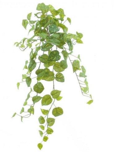 FIORI: vendita online MATA POTHOS 73CM 4063 in offerta