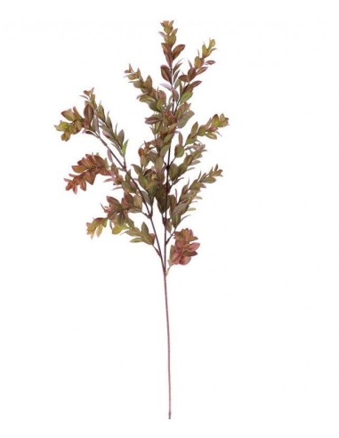 FIORI: vendita online BOXWOOD 7238 in offerta