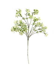 FIORI: vendita online IPHEION 4625 in offerta