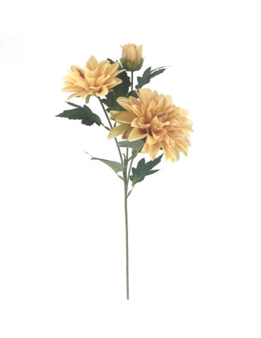 FIORI: vendita online DAHLIA 9554 X3 HERITAGE ASSORTITO in offerta