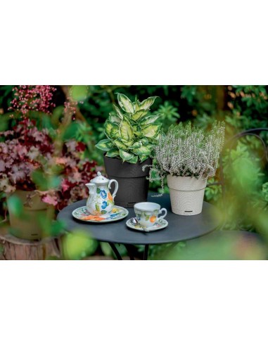 VASI E SOTTO VASI: vendita online ETHICA VASO 68000 GESSO 15CM in offerta