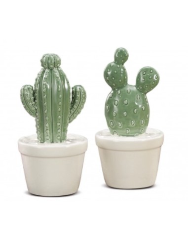 OGGETTISTICA: vendita online DEC CACTUS 46668 CERAMICA 8X15CM ASSORTITO in offerta