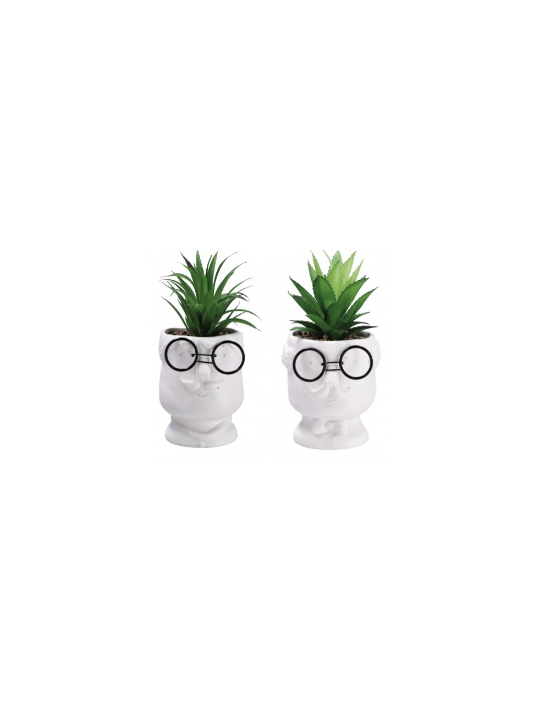 PIANTE E FIORI CON VASO: vendita online PIANTA GRASSA 82304 CON VASO 10X21CM ASSORTITO in offerta