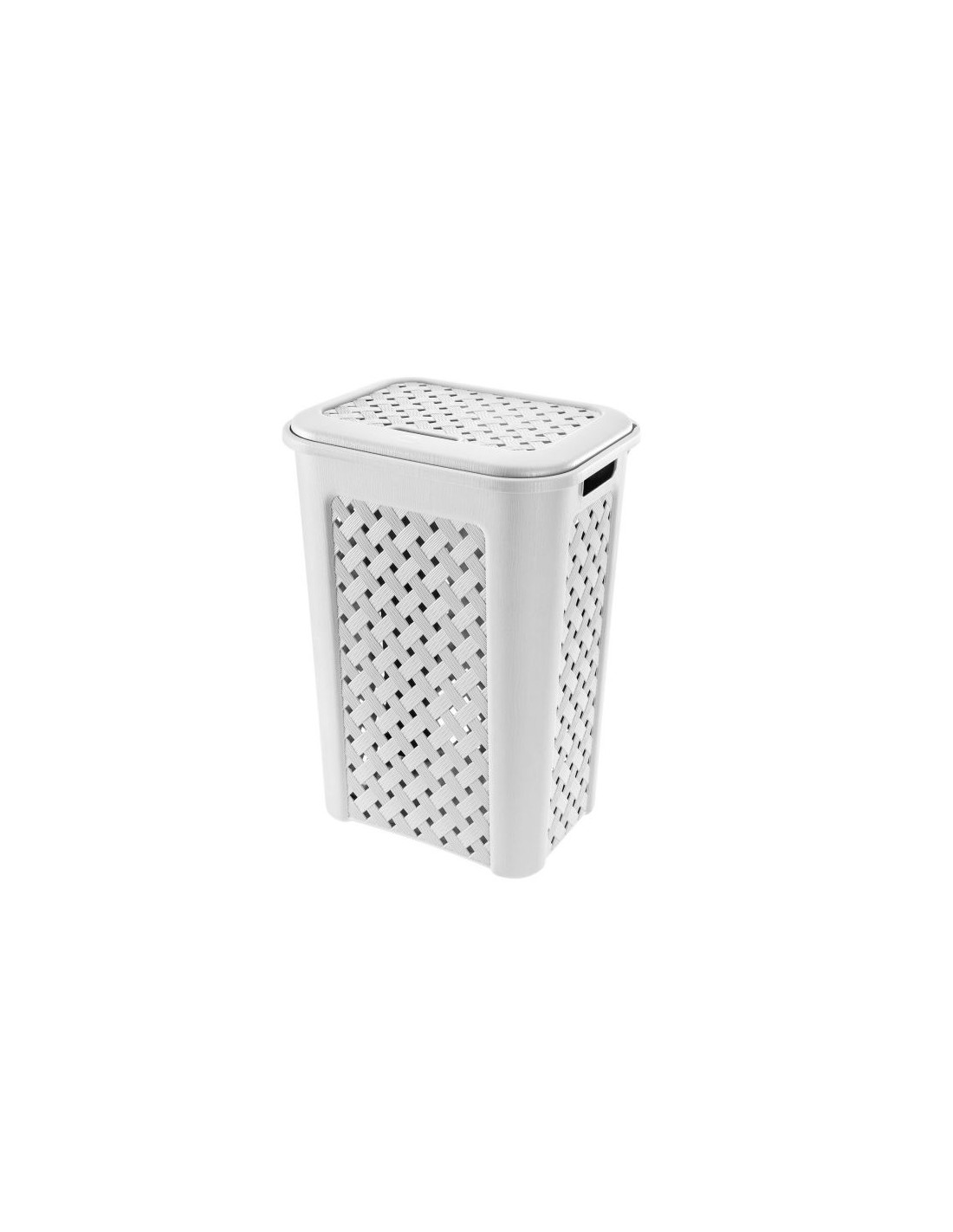 PORTABIANCHERIA: vendita online ARIANNA PORTABIANCHERIA 50 LT ASSORTITO TONTARELLI in offerta