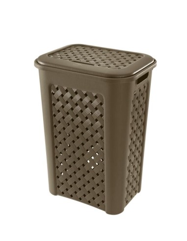 PORTABIANCHERIA: vendita online ARIANNA PORTABIANCHERIA 50 LT ASSORTITO TONTARELLI in offerta