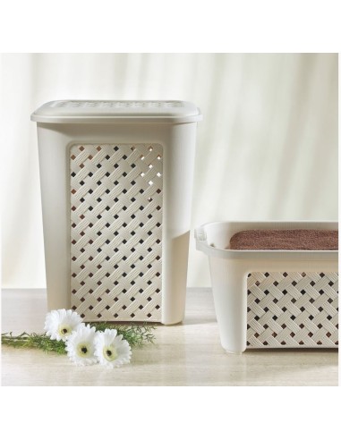 PORTABIANCHERIA: vendita online ARIANNA PORTABIANCHERIA 50 LT ASSORTITO TONTARELLI in offerta