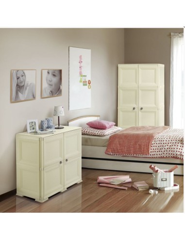CASSETTIERE: vendita online ARM. 2 MODULI 5549/210E ANGORA in offerta