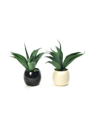 PIANTE E FIORI CON VASO: vendita online PIANTA 49107 VASO CERAMICA 25X31CM ASSORTITO in offerta