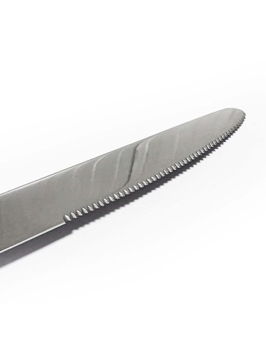 POSATERIA: vendita online VIENNA 12 COLTELLI TAVOLA 4MM 18/10 in offerta