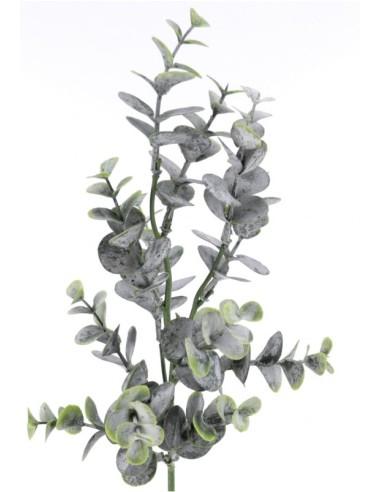 FIORI: vendita online EUCALYPTO 2627 in offerta