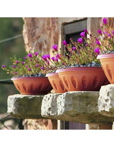 VASI E SOTTO VASI: vendita online CIOTOLA ALBA CON SOTTOVASO D 30 CM in offerta