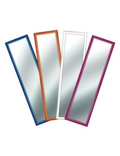 SPECCHI: vendita online SPECCHIO 03888 PIATTINA 34X114CM ASSORTITO in offerta