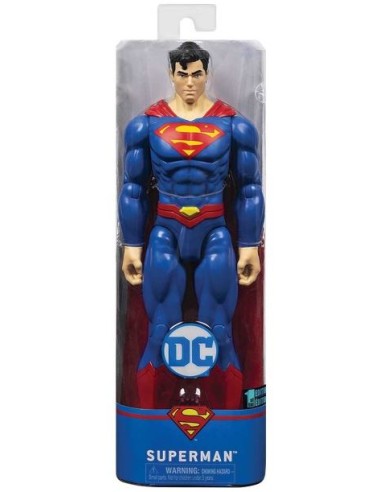 GIOCATTOLO PUBBLICIZZATO: vendita online DC UNIVERSE 6056278 TITAN HERO ASSORTITO in offerta