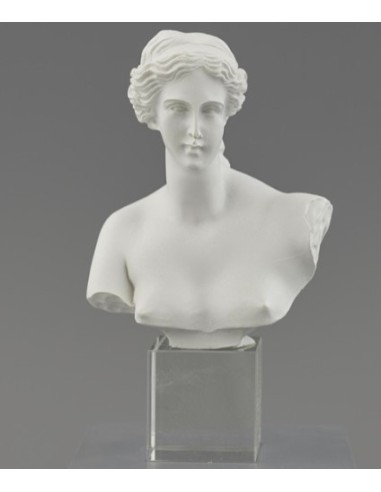 BOMBONIERE: vendita online 622X589 BUSTO VENERE BCO C/BASE CUBO in offerta