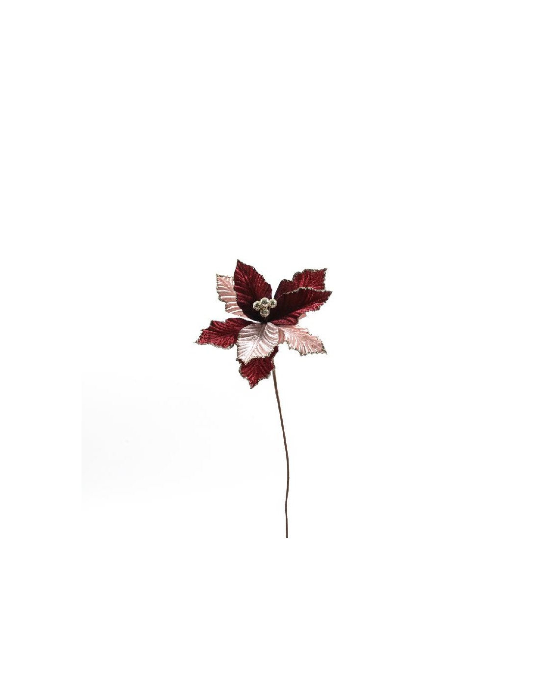 FIORI: vendita online Stella di Natale Rossa Champagne 23X60CM - La Magia di Natale a Casa Tua in offerta