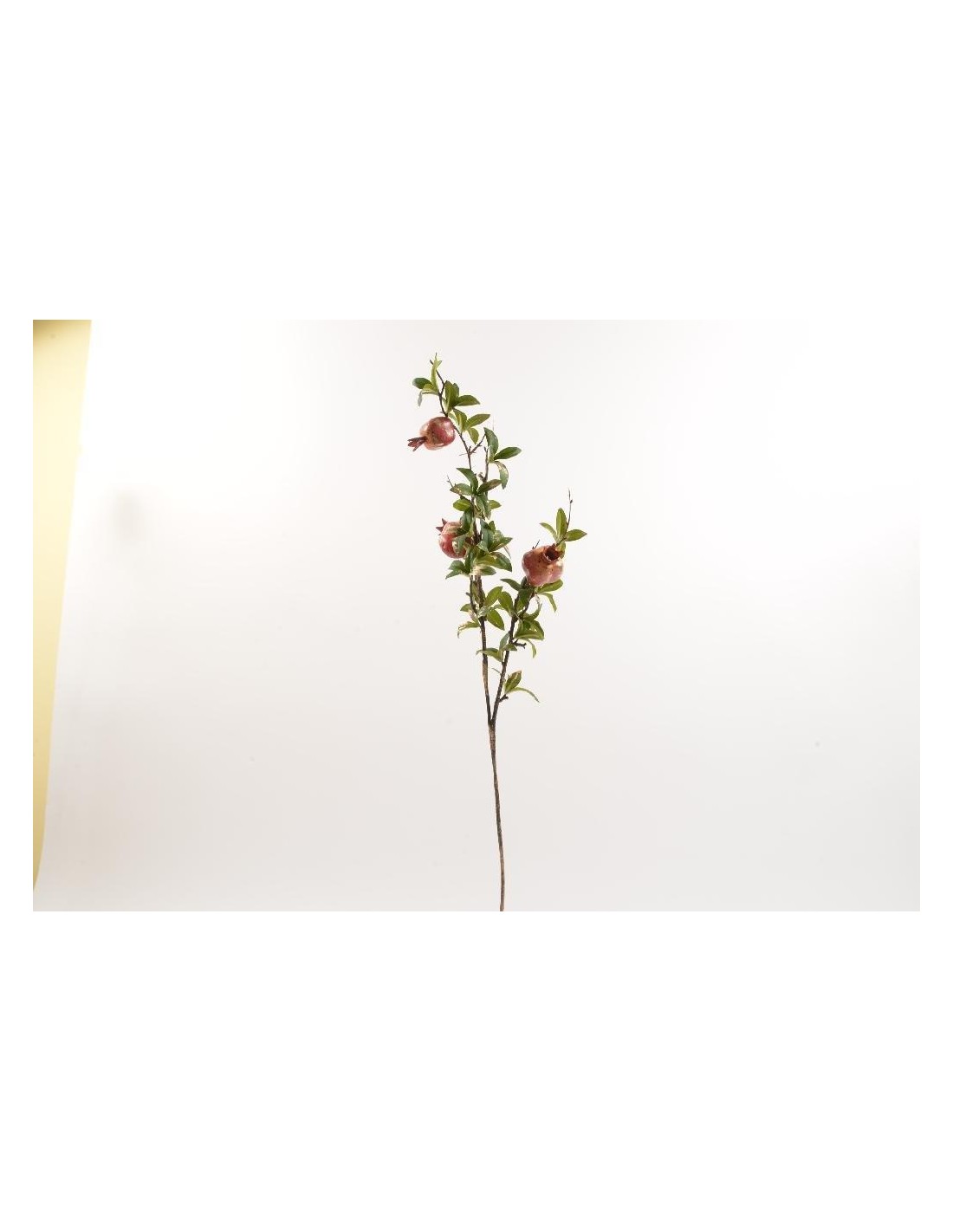 FIORI: vendita online TRALCIO MELOGRANI 17X79CM in offerta